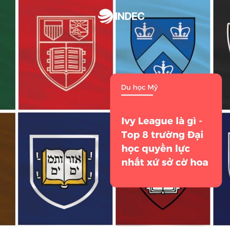 Ivy League là gì - Top các trường Đại học “xịn sò” nhất xứ sở cờ hoa