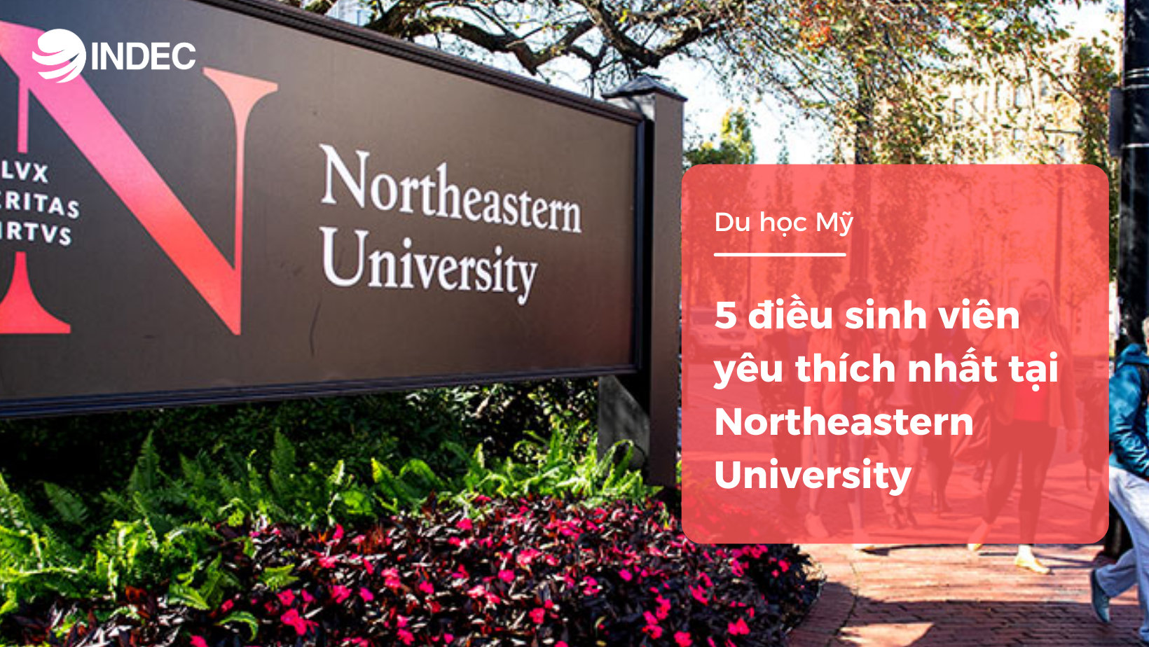 5 điều sinh viên yêu thích nhất tại Northeastern University