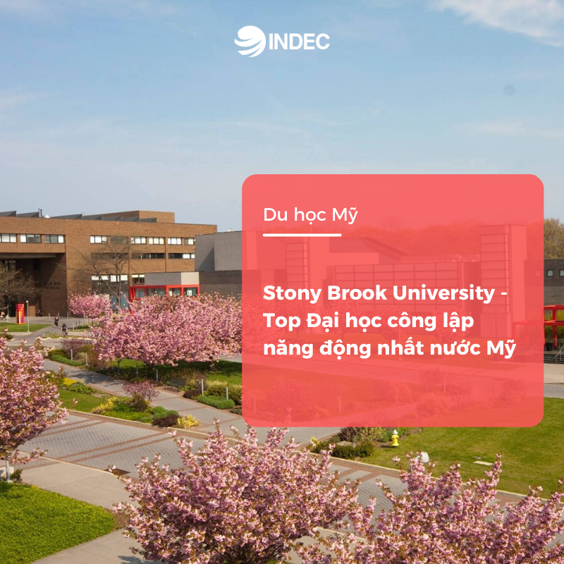 Stony Brook University